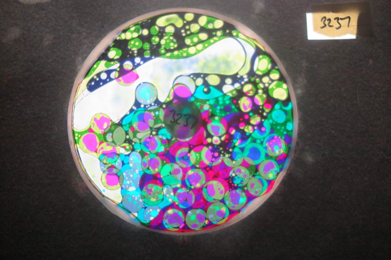 BV3237 bubble vision oil wheel